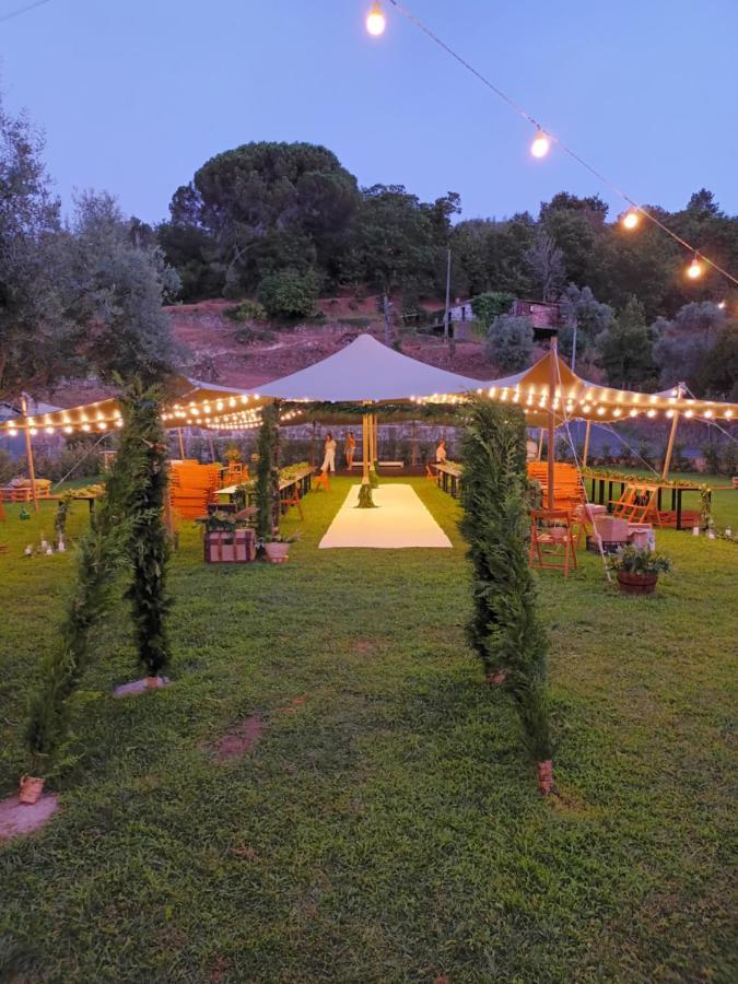 Casa D'Auleira Villa Понте да Барка Екстериор снимка